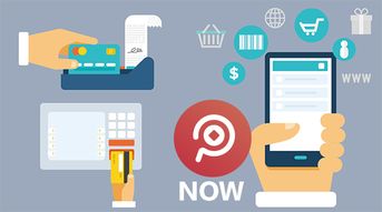 探索网络技术服务中的多种支付方式